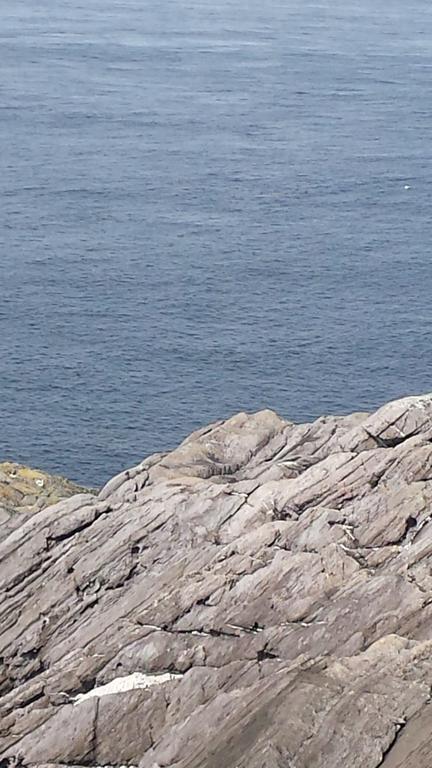 Coulagh Bay House Bed & Breakfast Eyeries Exterior foto